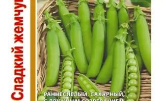 СЛАДКИЙ ЖЕМЧУГ