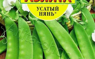 УСАТЫЙ НЯНЬ