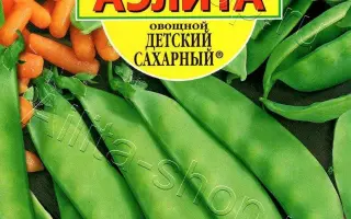 ДЕТСКИЙ САХАРНЫЙ