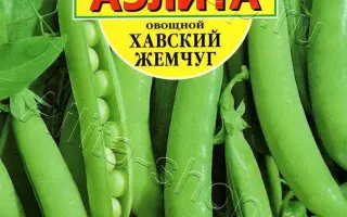 ХАВСКИЙ ЖЕМЧУГ