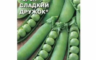 СЛАДКИЙ ДРУЖОК