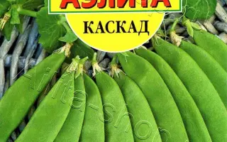 КАСКАД