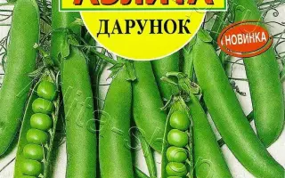 ДАРУНОК
