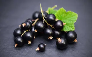 ЮХНОВСКАЯ 70