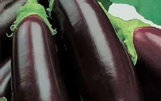 УНИВЕРСАЛ 6