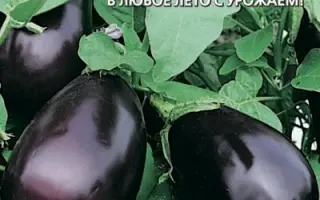 БАРДОВСКИЙ ФЕСТИВАЛЬ