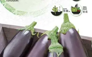 ДРУЖНАЯ СЕМЕЙКА