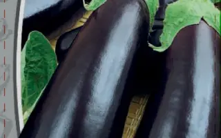 РУССКИЙ ДЕЛИКАТЕС