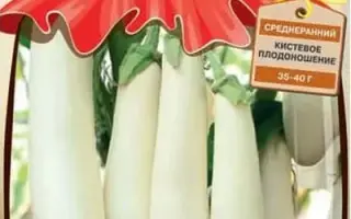 ЖЕМЧУЖНЫЕ ПОДВЕСКИ