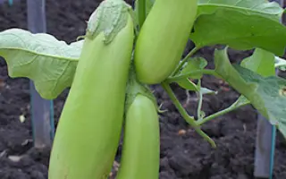 ИЗУМРУДНЫЕ ПОДВЕСКИ