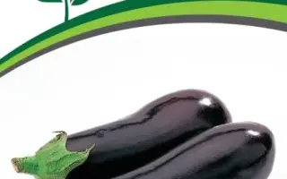 СЕВЕРНЫЙ ИНДИГО