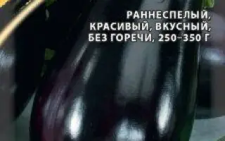 ЧЕРНЫЙ ВИТЯЗЬ