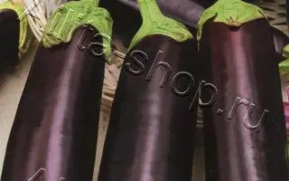 ЦАРСКАЯ ИКРА