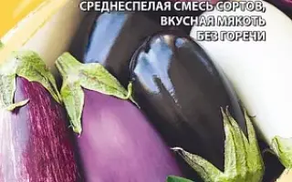 КРАСКИ ЛЕТА