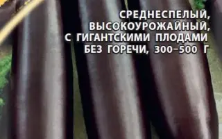 МЕЧТА ДАЧНИКА