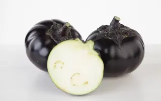 БЛЭК МАДЖЕСТИ