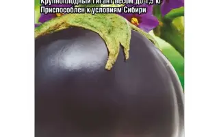 БОЛЬШОЙ УВАЛЕНЬ