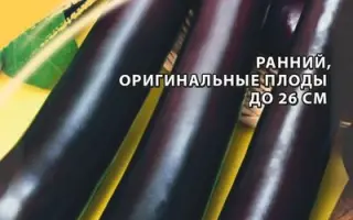 ЧЕРНЫЙ ПРИНЦ