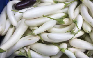 БЕЛЫЙ ПРИНЦ