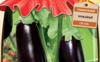 ДЕСЕРТ ГОЛИАФА