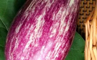 ЗАМОРСКИЙ ПОЛОСАТИК