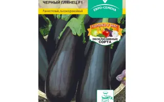 ЧЕРНЫЙ ГЛЯНЕЦ