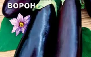 ЧЕРНЫЙ ВОРОН