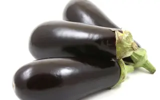 СИБИРСКИЙ АРГУМЕНТ