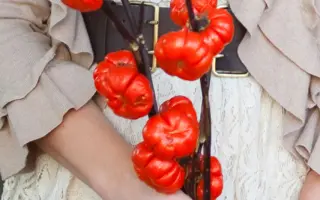 КРАСНЫЙ ДЕКОР