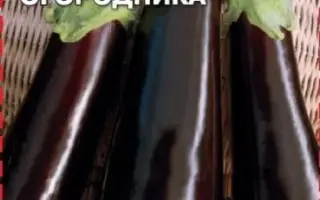 МЕЧТА ОГОРОДНИКА