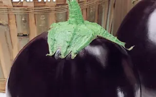 ТОЛСТЫЙ БАРИН