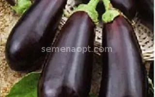 МЕДВЕЖОНОК