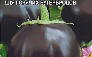 ШАРОВИДНЫЙ