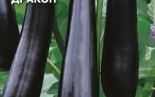 ЧЕРНЫЙ ДРАКОН