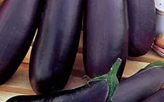 НИЖНЕВОЛЖСКИЙ