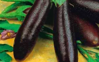 АЛЕКСЕЕВСКИЙ