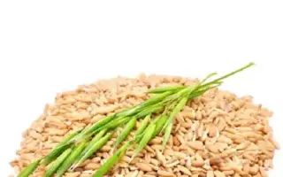 ДАЛЬНЕВОСТОЧНЫЙ КОРМОВОЙ