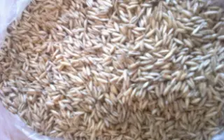 ТЮМЕНСКИЙ ГОЛОЗЕРНЫЙ