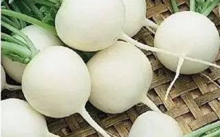 ВИРОВСКИЙ БЕЛЫЙ