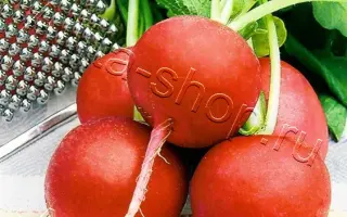 ВЮРЦБУРГСКИЙ 59