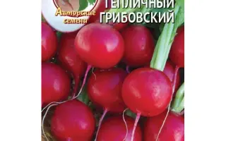 ТЕПЛИЧНЫЙ ГРИБОВСКИЙ