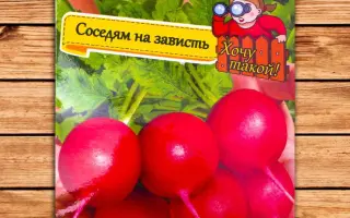 КРАСНАЯ ЗВЕЗДА