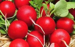 КРАСНЫМ КРАСНО