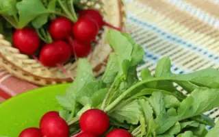 МЛАДШИЙ ЛЕЙТЕНАНТ