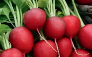 БИЗНЕС-КЛАСС