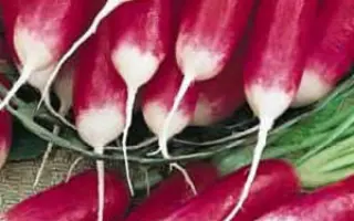 КРАСНЫЙ МЕТЕОР