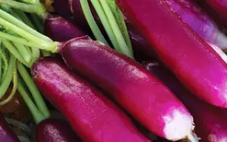 ВЕДЬМИНЫ ПАЛЬЦЫ