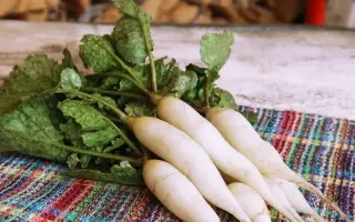 СЛИВКИ ЛЕНИВКИ