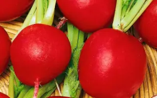 ГРАНАТОВЫЙ ШАР