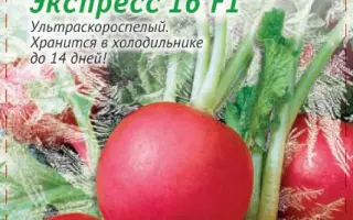ЭКСПРЕСС 16